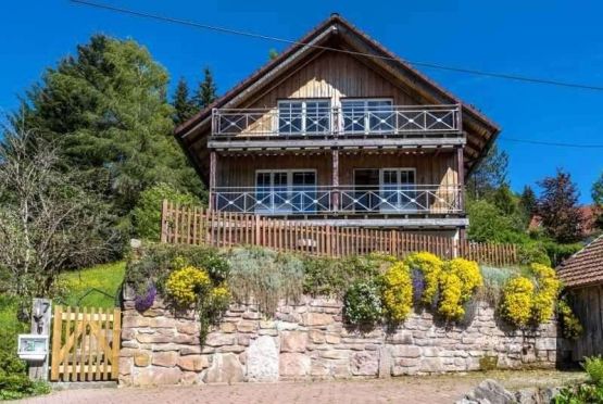 Dog-friendly holiday home Enzkloesterle