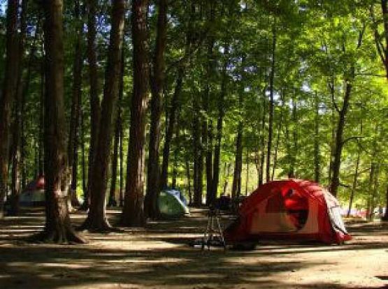 camping black forest