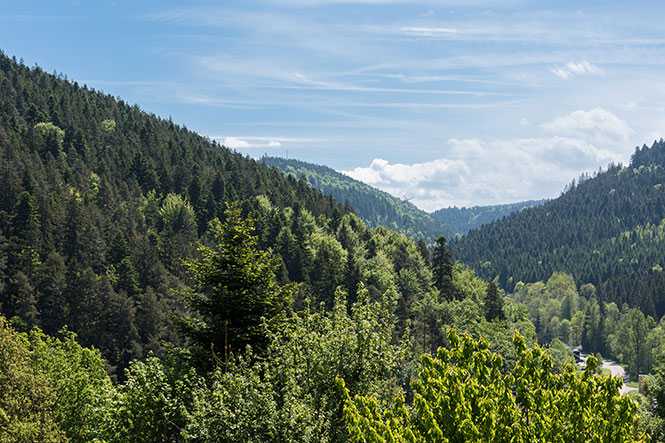 Aktivitäten im Schwarzwald - Camping Schwarzwald