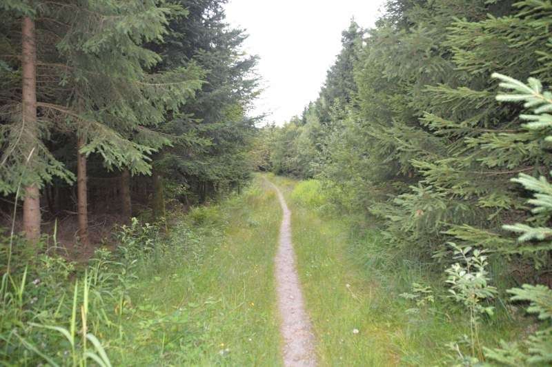 path west path