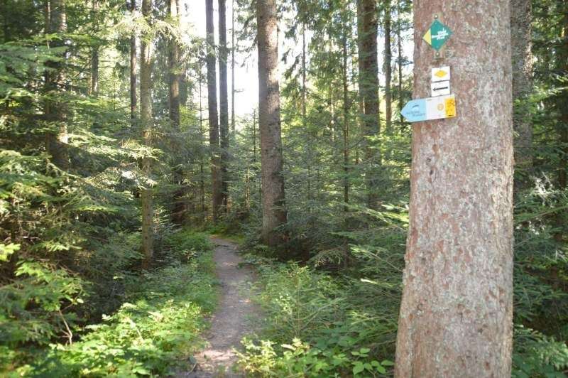 Freudenstadt hiking trail