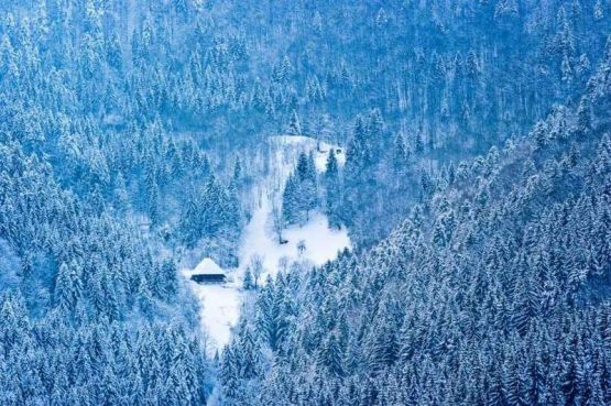 winter schnee schwarzwaldhaus