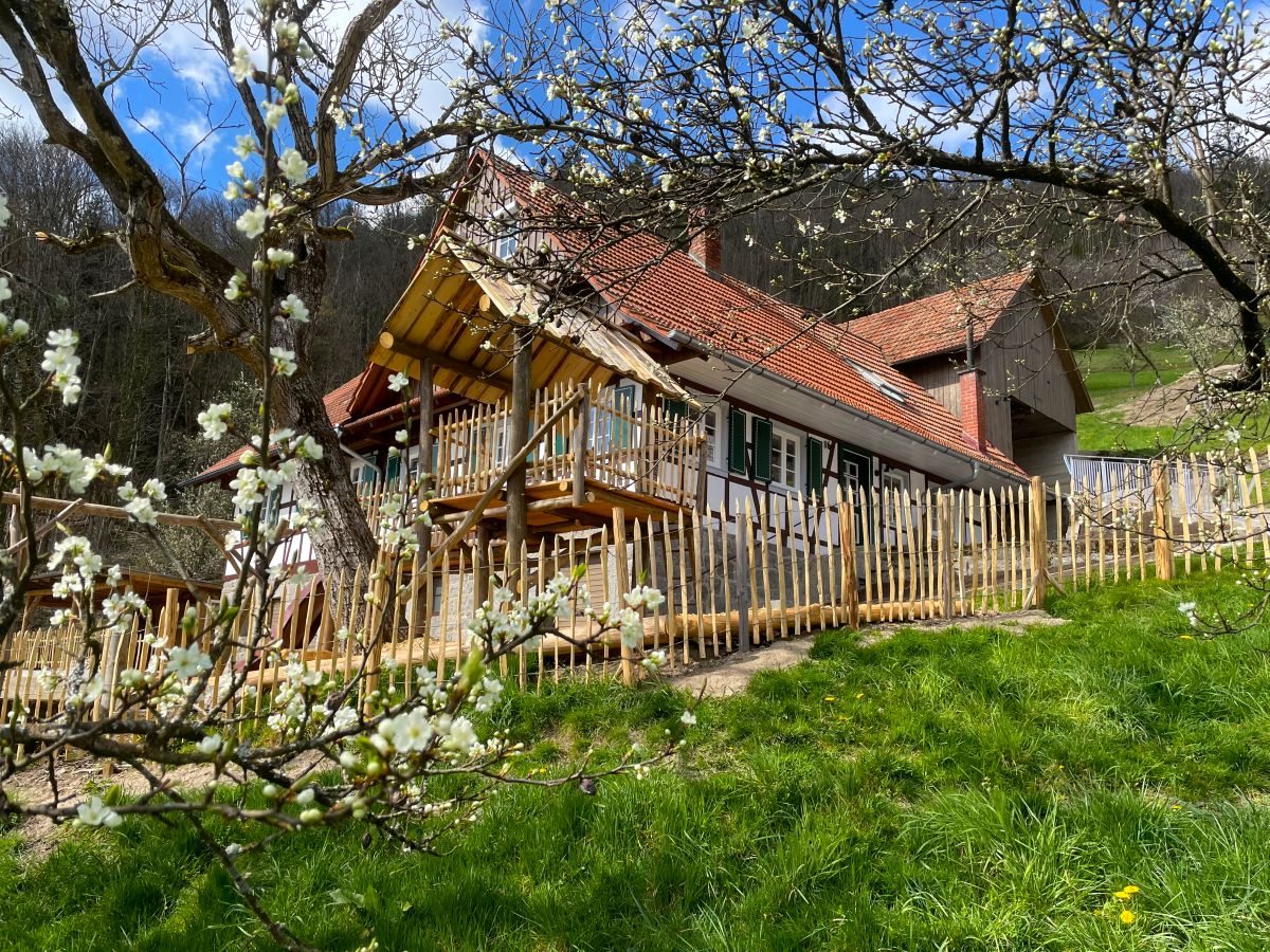 Ferienhaus Ottenhöfen im Schwarzwald in Fast Alleinlage