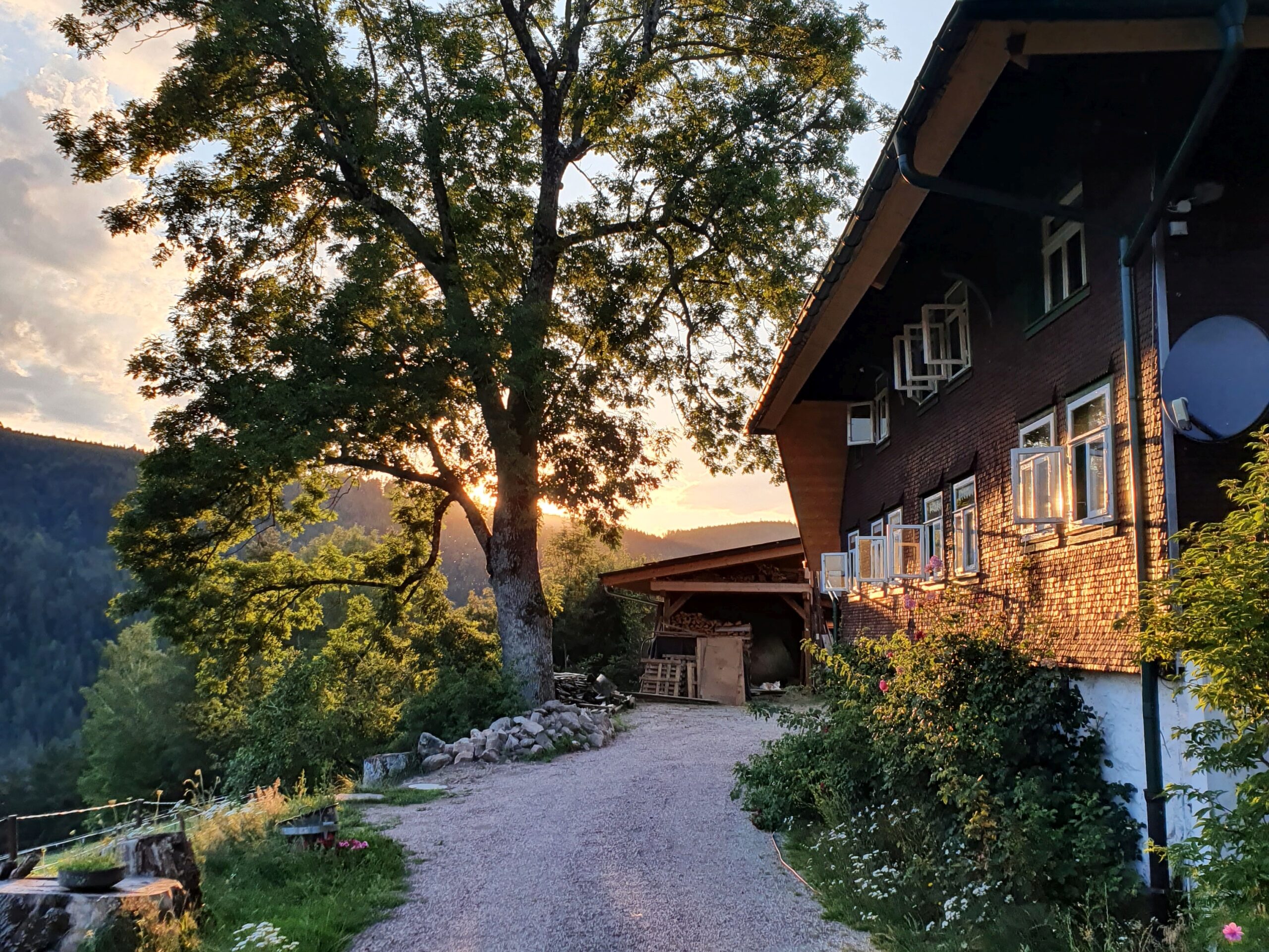 Grosse Ferienwohnung auf Bauernhof in Triberg - Schwarzwald Ferienhaus